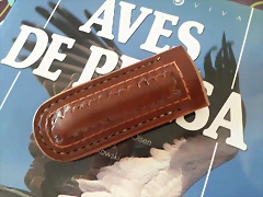 SAM_0731 SAM_0731