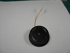 DSCN9006