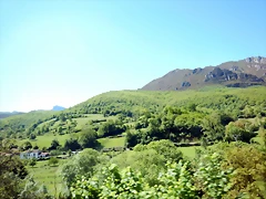 DSCN6819 DSCN6819
