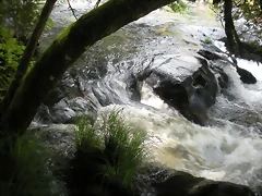 DSCN2824 DSCN2824