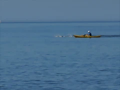 DSC03884_2947x1958 DSC03884_2947x1958