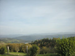 DSCN9874 DSCN9874