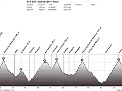 Glob Med 2015 Alcoy