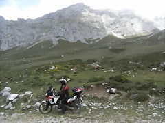R0012990 R0012990