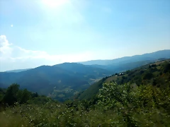 DSCN2393 DSCN2393