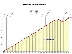 roque muchachos