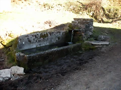 DSCN2927
