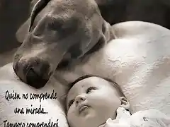 Perro y beb