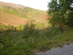 DSCN2141 DSCN2141