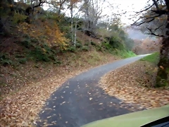 DSCN0814 DSCN0814