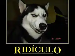 ridiculo