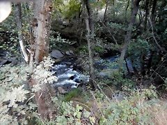 DSCN6235 DSCN6235