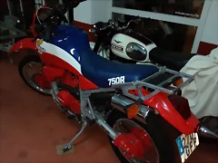 XLV