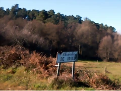 DSCN1364 DSCN1364
