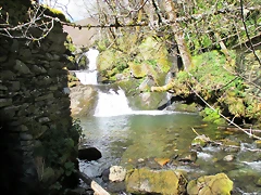 IMG_0118 IMG_0118