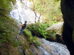 DSCN5832 DSCN5832