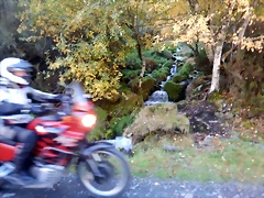 DSCN1333 DSCN1333
