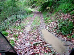 DSCN6285 DSCN6285