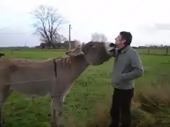 Beso desinteresado de un burro a Antonio Daz Abad.