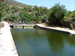 P1070234 P1070234