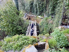 DSCN9139 DSCN9139