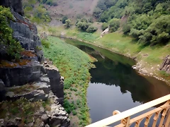 DSCN8563