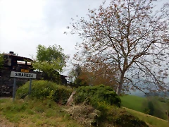 DSCN0218 DSCN0218