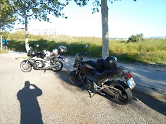 SAM_3051
