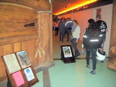 IMG_1330 IMG_1330