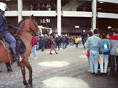 ultras torino real madrid - torino