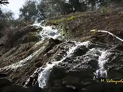 011, agua en las caadas, marca