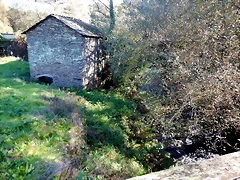 DSCN1031