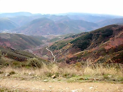 DSCN9528 DSCN9528