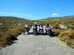 DSCN0116 DSCN0116