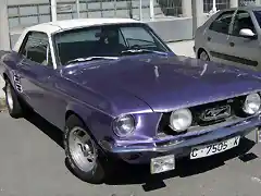 Mustang C-7505-K