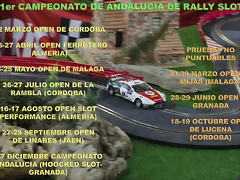 cartel campeonato andalucia