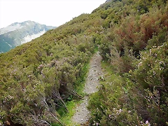 Sendero cui?a
