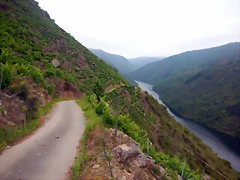 DSCN6240'2 DSCN6240'2