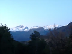 thumbnail_IMG_0561
