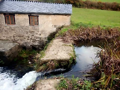 DSCN0582 DSCN0582