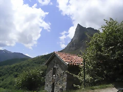 R0012871 R0012871