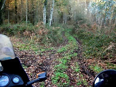 IMG_0514 IMG_0514