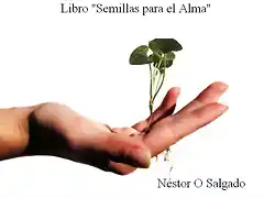 Semillas para el Alma