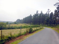 DSCN5775 DSCN5775