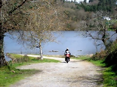 IMG_2428 IMG_2428