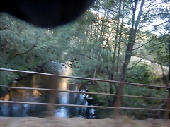 DSCN6231 DSCN6231