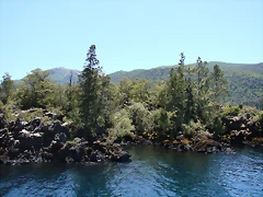 san martin de los andes 375 san martin de los andes 375