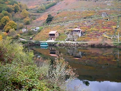 DSCN0207 DSCN0207