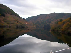 DSCN0241