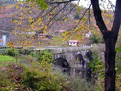 DSCN0179 DSCN0179